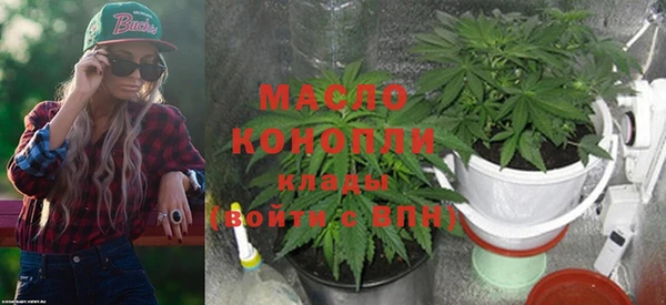 молекула духа Всеволожск