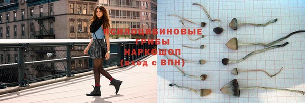 спайс Алзамай