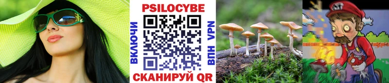 Псилоцибиновые грибы мицелий где найти Бахчисарай