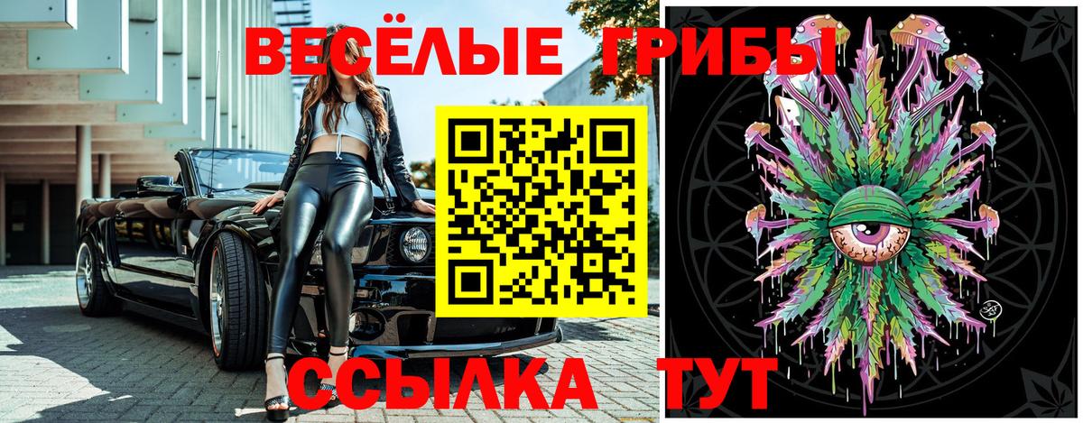 Псилоцибиновые грибы Psilocybe  Вход с VPN  Бахчисарай 