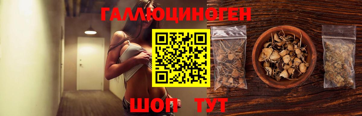 Галлюциногенные грибы Psilocybine cubensis Бахчисарай