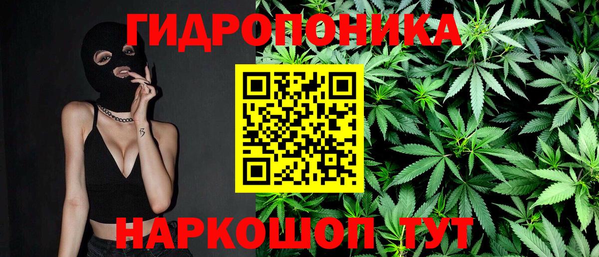 Каннабис гибрид  Вход с VPN  Бахчисарай  Конопля план  Шишки марихуана White Widow 